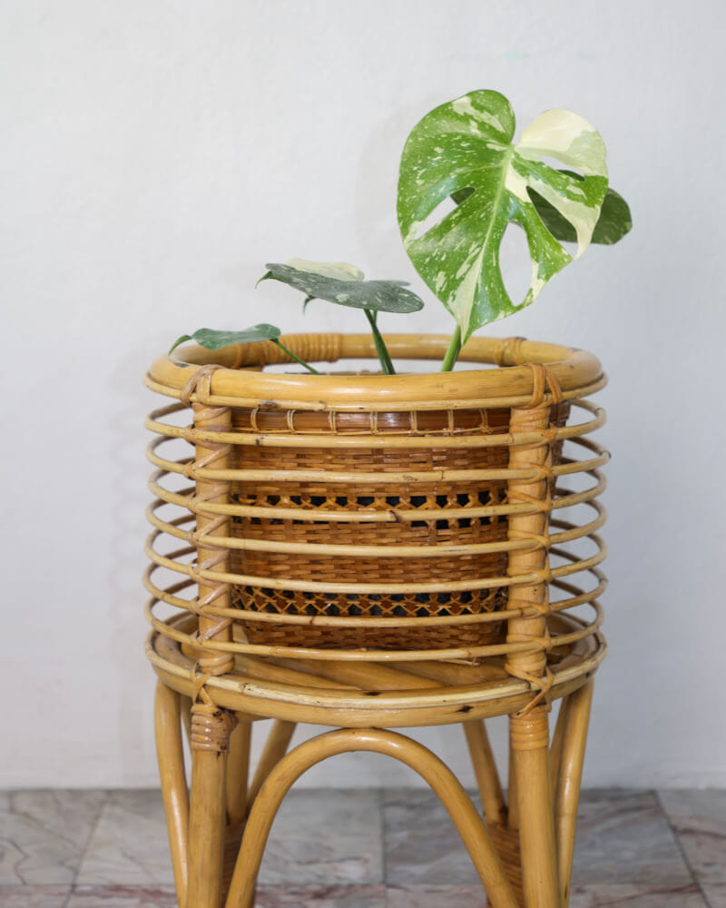 กระถางหวายแท้ พร้อมขาตั้ง PISAMAI รุ่น SIMBA PLANTSTAND สไตล์ TROPICAL ขนาด 35*35*55 ซม. สีธรรมชาติ_2